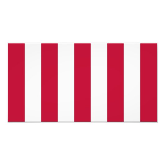 VS Sons Of Liberty 9 Strepen Vlag Foto Afdruk (Voorkant)