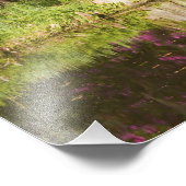 VS, South Carolina, Charleston. Cypress Trees Foto Afdruk (Hoek)