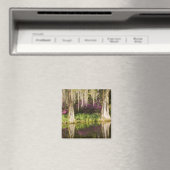 VS, South Carolina, Charleston. Cypress Trees Magneet (Insitu (Vaatwasser))