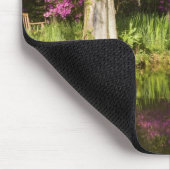 VS, South Carolina, Charleston. Cypress Trees Muismat (Hoek)