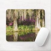 VS, South Carolina, Charleston. Cypress Trees Muismat (Met muis)