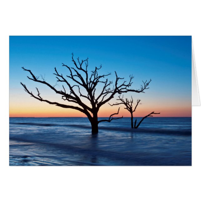 VS, South Carolina, Edisto Island, Botany Bay (Voorkant Horizontaal)