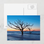 VS, South Carolina, Edisto Island, Botany Bay Briefkaart (Voorkant / Achterkant)