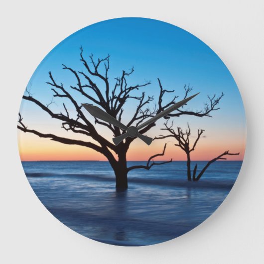 VS, South Carolina, Edisto Island, Botany Bay Grote Klok (Voorkant)