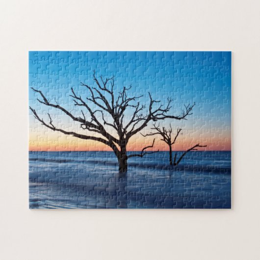 VS, South Carolina, Edisto Island, Botany Bay Legpuzzel (Horizontaal)