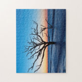 VS, South Carolina, Edisto Island, Botany Bay Legpuzzel (Verticaal)