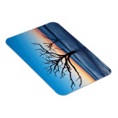 VS, South Carolina, Edisto Island, Botany Bay Magneet (Rechterzijde)