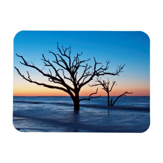 VS, South Carolina, Edisto Island, Botany Bay Magneet (Horizontaal)