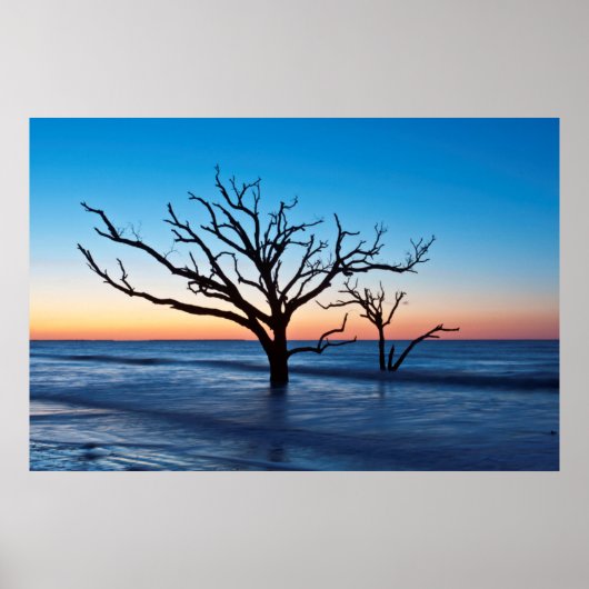 VS, South Carolina, Edisto Island, Botany Bay Poster (Voorkant)