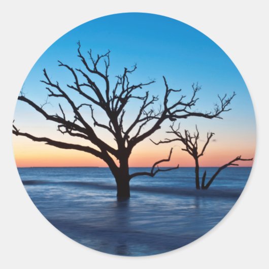 VS, South Carolina, Edisto Island, Botany Bay Ronde Sticker (Voorkant)