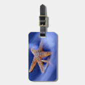 VS, South Carolina, Hilton Head Island. Twee Bagagelabel (Voorkant verticaal)