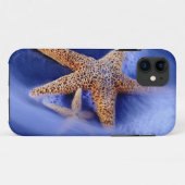VS, South Carolina, Hilton Head Island. Twee Case-Mate iPhone Case (Achterkant (horizontaal))