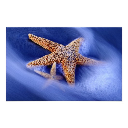 VS, South Carolina, Hilton Head Island. Twee Foto Afdruk (Voorkant)