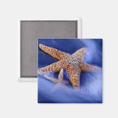 VS, South Carolina, Hilton Head Island. Twee Magneet (Voorkant / Achterkant)