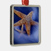 VS, South Carolina, Hilton Head Island. Twee Metalen Ornament (Rechts)