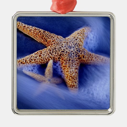 VS, South Carolina, Hilton Head Island. Twee Metalen Ornament (Voorkant)