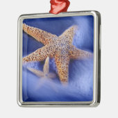 VS, South Carolina, Hilton Head Island. Twee Metalen Ornament (Links)