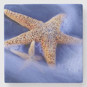 VS, South Carolina, Hilton Head Island. Twee Stenen Onderzetter