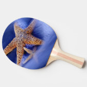 VS, South Carolina, Hilton Head Island. Twee Tafeltennisbatje (Zijkant)