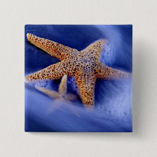 VS, South Carolina, Hilton Head Island. Twee Vierkante Button 5,1 Cm