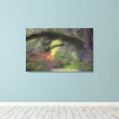 VS, South Carolina, Magnolia Gardens. Canvas Afdruk (Insitu (Houten vloer))