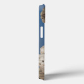 VS, South Dakota, Black Hills National Forest Case-Mate iPhone Case (Achterkant / Rechts)