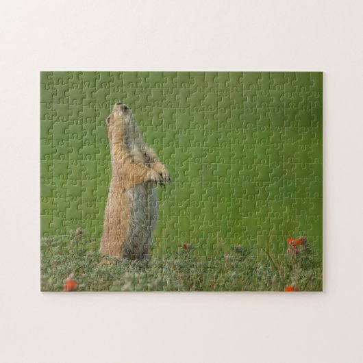 VS, South Dakota, Custer State Park Legpuzzel (Horizontaal)
