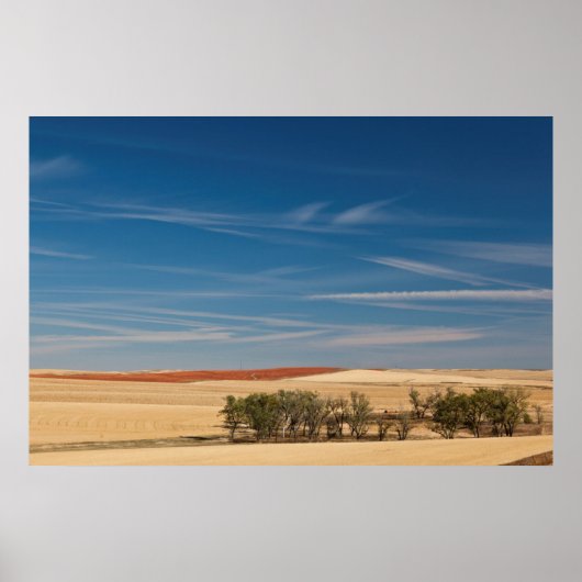VS, South Dakota, Murdo, Prairie Landschap Poster (Voorkant)