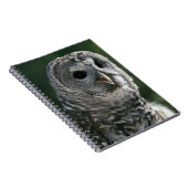 VS, staat Washington. Barred Owl (Strix varia) Notitieboek (Rechterzijde)