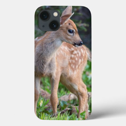 VS, staat Washington. Blacktail Deer Fawn Case-Mate iPhone Case (Achterkant)