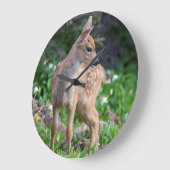 VS, staat Washington. Blacktail Deer Fawn Grote Klok (Hoek)