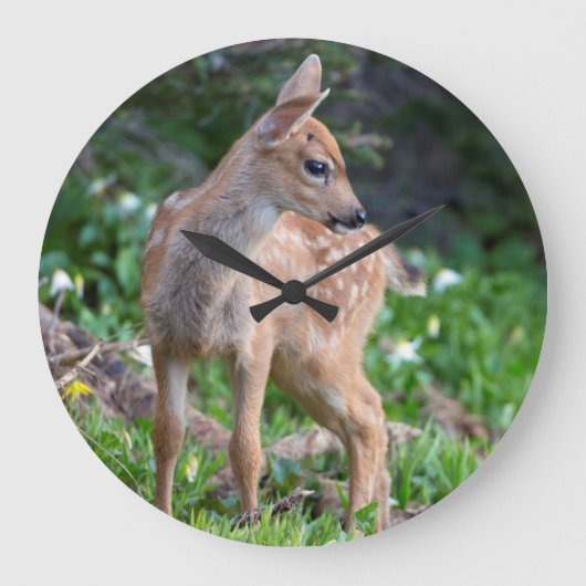 VS, staat Washington. Blacktail Deer Fawn Grote Klok (Voorkant)