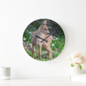 VS, staat Washington. Blacktail Deer Fawn Grote Klok (Huis)