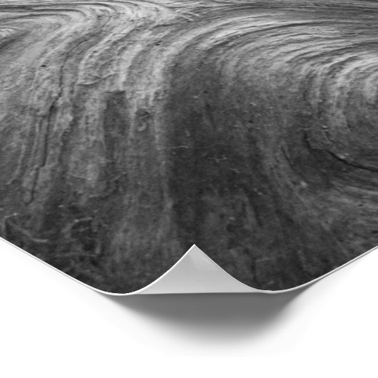 VS, staat Washington. Douglass Fir Poster (Hoek)