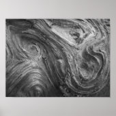 VS, staat Washington. Douglass Fir Poster (Voorkant)