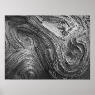 VS, staat Washington. Douglass Fir Poster