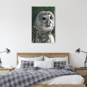 VS, staat Washington. Gestreepte bosuil (Strix var Canvas Afdruk (Insitu (Slaapkamer))