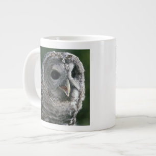 VS, staat Washington. Gestreepte bosuil (Strix var Grote Koffiekop