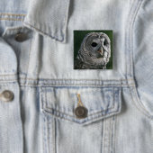 VS, staat Washington. Gestreepte bosuil (Strix var Vierkante Button 5,1 Cm (In situ)