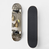 VS, staat Washington, Issaquah, Salmon Day's Skateboard (Voorkant)