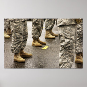 VS, staat Washington, Issaquah, zalmdag Poster