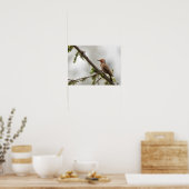 VS, staat Washington. Mannelijke Noordelijke Zeefl Poster (Keuken)