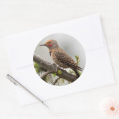 VS, staat Washington. Mannelijke Noordelijke Zeefl Ronde Sticker (Envelop)