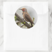 VS, staat Washington. Mannelijke Noordelijke Zeefl Ronde Sticker (Tas)