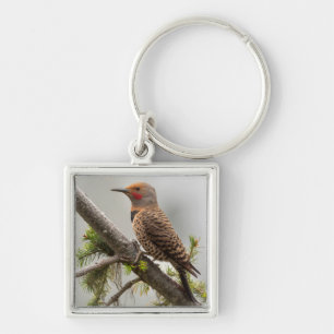 VS, staat Washington. Mannelijke Northern Flicker  Sleutelhanger