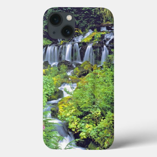 VS, staat Washington, Mt Adams Wilderness. Twin Case-Mate iPhone Case (Achterkant)