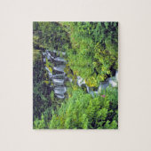 VS, staat Washington, Mt Adams Wilderness. Twin Legpuzzel (Verticaal)