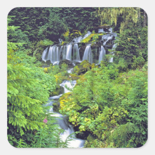 VS, staat Washington, Mt Adams Wilderness. Twin Vierkante Sticker