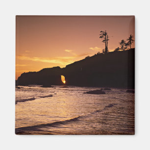 VS, staat Washington, Olympic National Park. 2 Magneet
