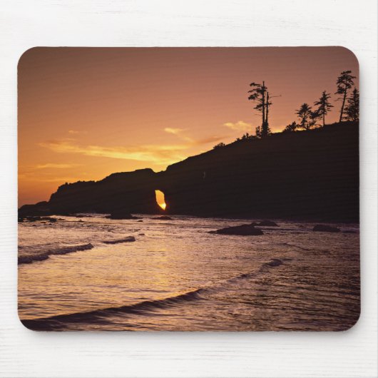 VS, staat Washington, Olympic National Park. 2 Muismat (Voorkant)
